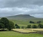 Scenic view of Whernside in Yorkshire Dales, lush green fields and stone walls under cloudy skies.